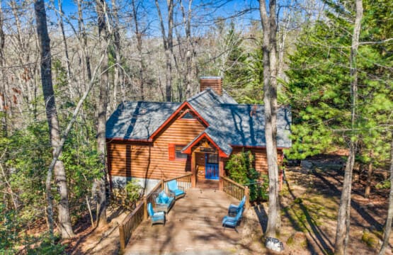 A bird's-eye view reveals the serenity of our cabin nestled amidst nature's embrace.
