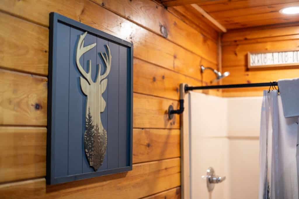 Nature’s majesty, carved into every detail.