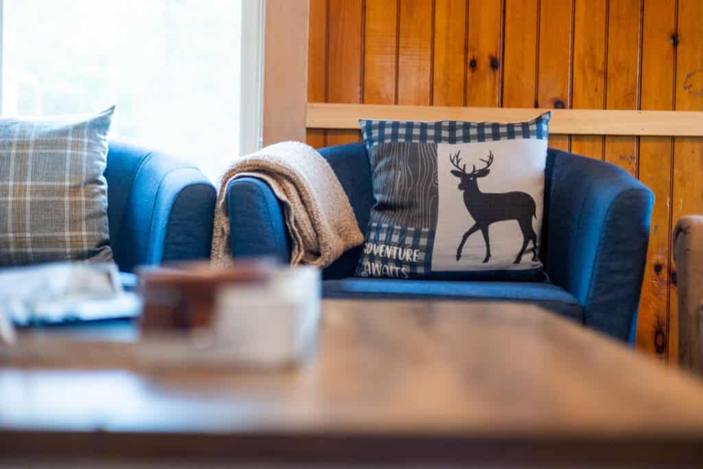 A splash of blue and a dash of wild.