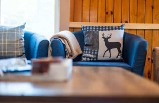 A splash of blue and a dash of wild.