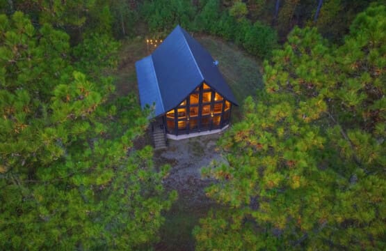 Aerial serenity, cabin nestled in nature's embrace.