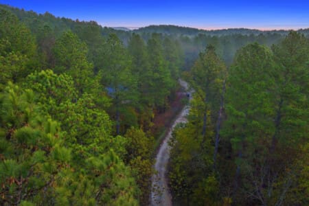 The path to tranquility awaits.