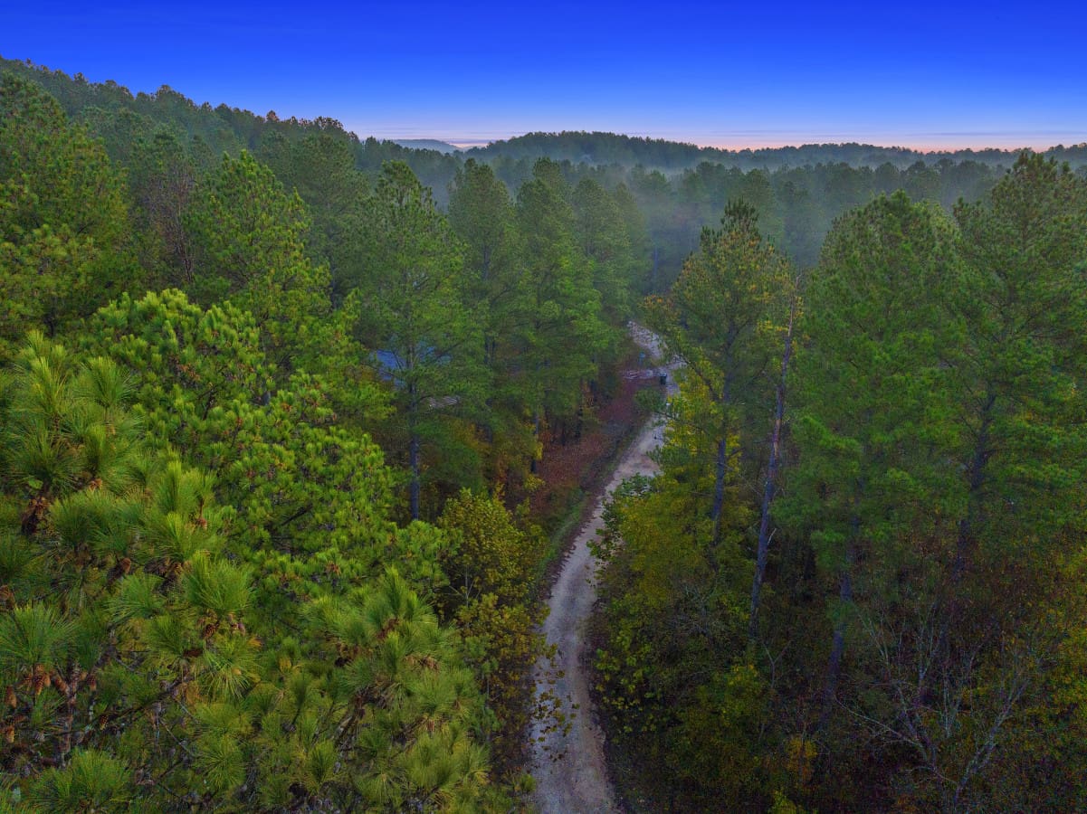 The path to tranquility awaits.
