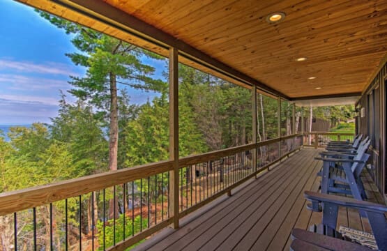 Nature's Retreat: Where Wooden Chairs Offer a Front Row Seat to the Majestic Dance of Towering Trees.