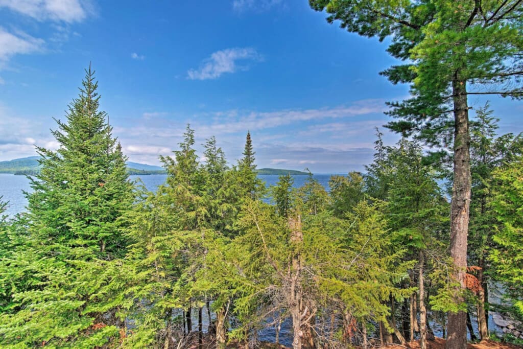 Where Nature Frames the Sea: A Serene Vista Through Towering Trees.
