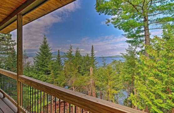 Where Towering Trees Frame a Glimpse of the Majestic Ocean Beyond.