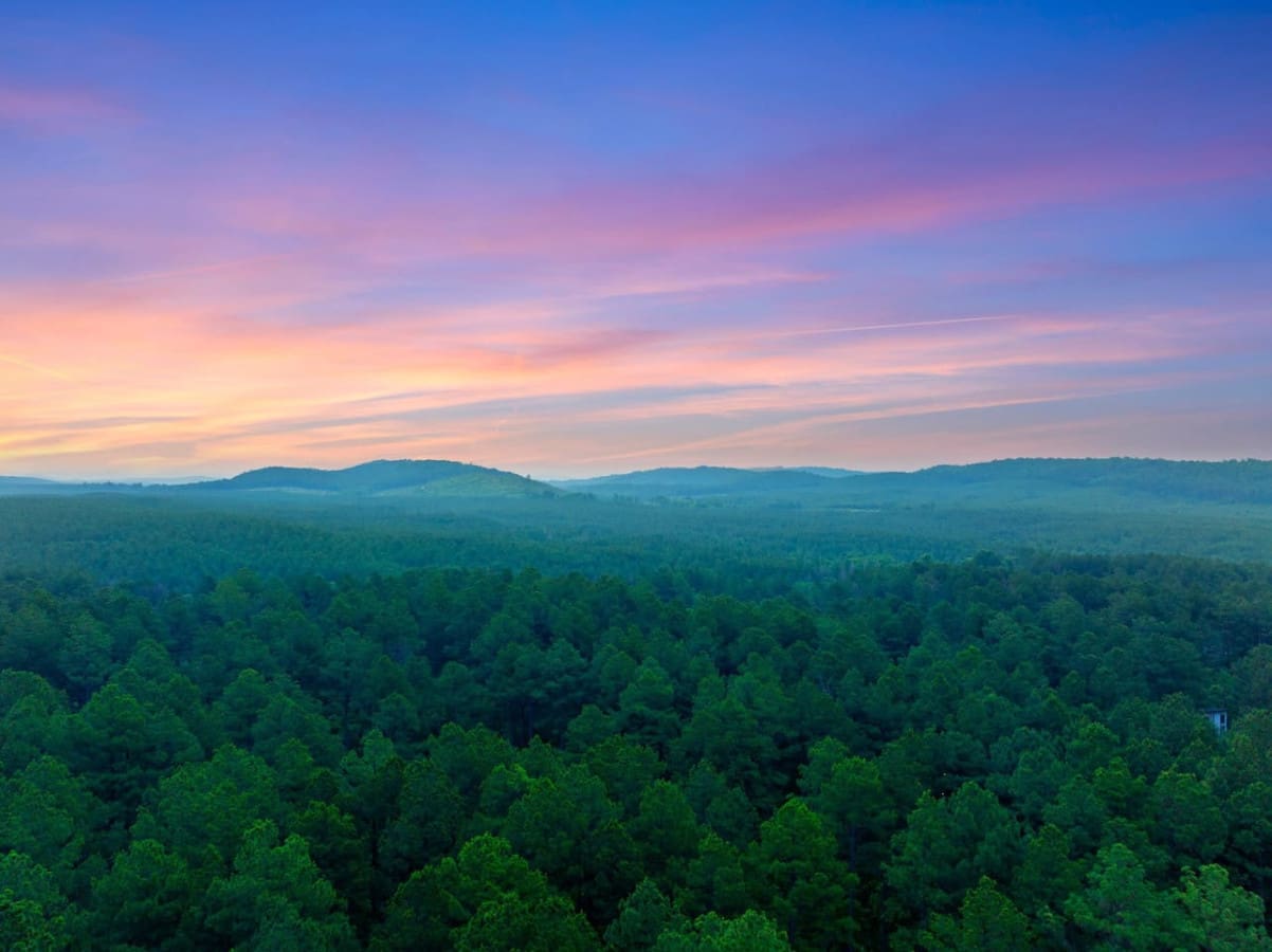 Discover a world of peace and adventure amidst the towering giants of the forest.