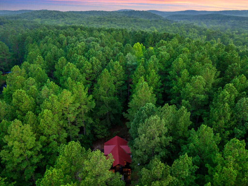 Discover our secluded cabin nestled among nature’s green canopy.