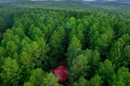 Discover our secluded cabin nestled among nature’s green canopy.