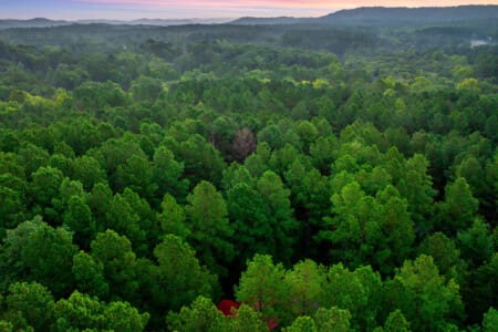 A bird's-eye view of our charming cabin tucked away in the forest.