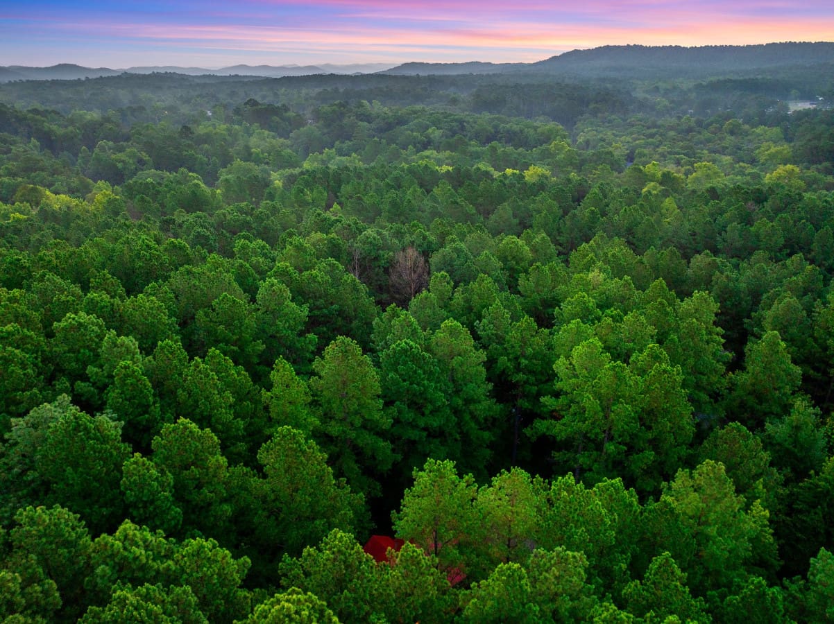 A bird's-eye view of our charming cabin tucked away in the forest.