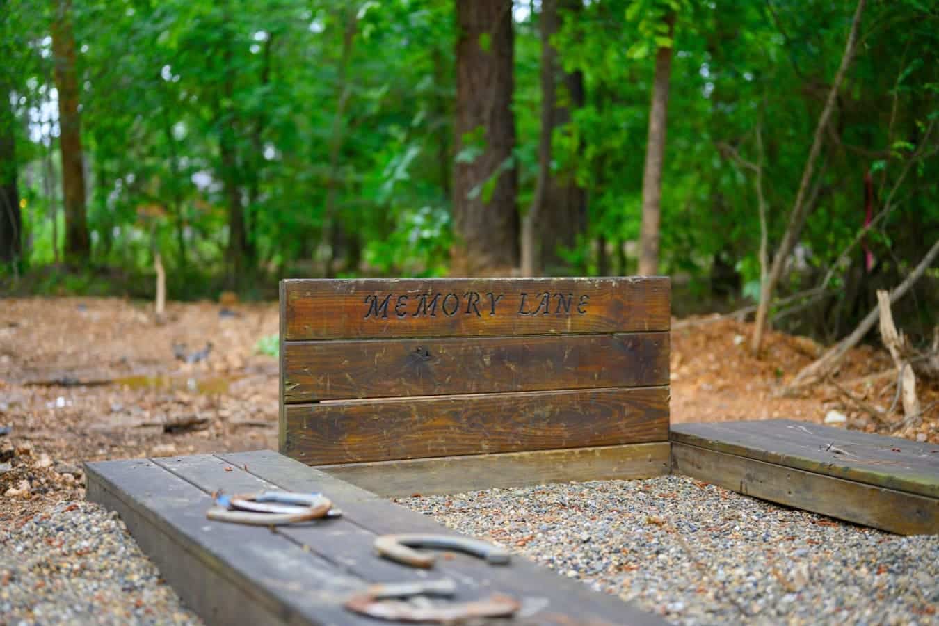 Grab your crew and head to Memory Lane for some cornhole and mini golf—there's something weirdly satisfying about competing on a course tucked into the woods.