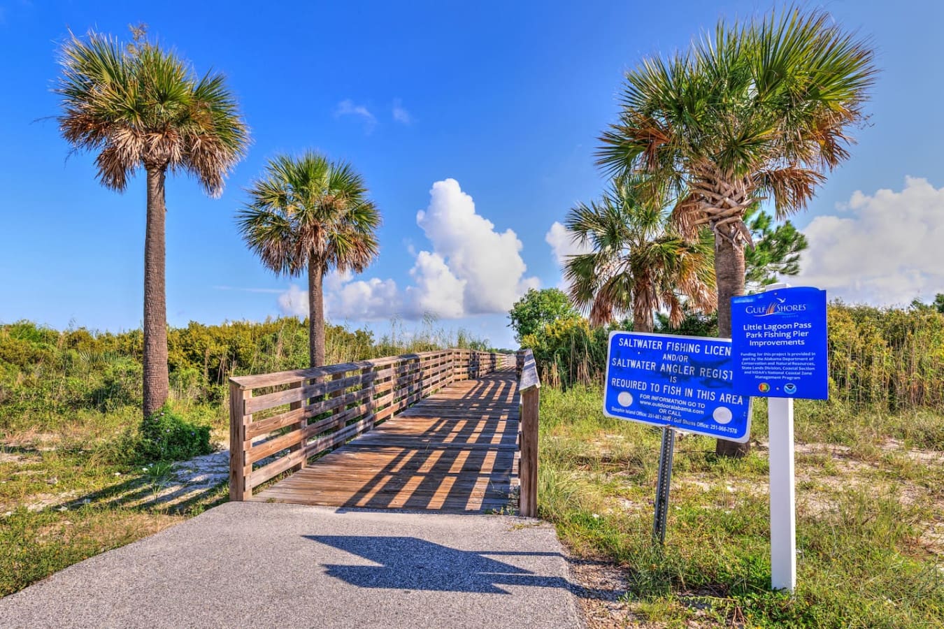 Head down this boardwalk and you've basically got the whole vibe—palm trees, that gorgeous sky, and the kind of fishing pier setup that makes you actually want to wake up early.