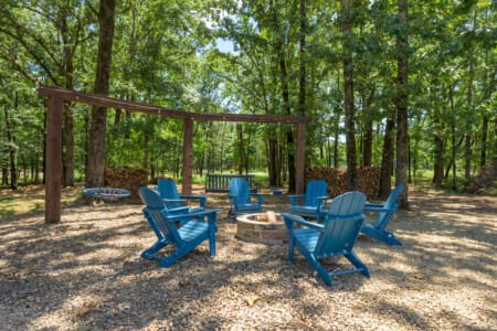A circle-of-comfort-beneath-forest-canopy.jpg