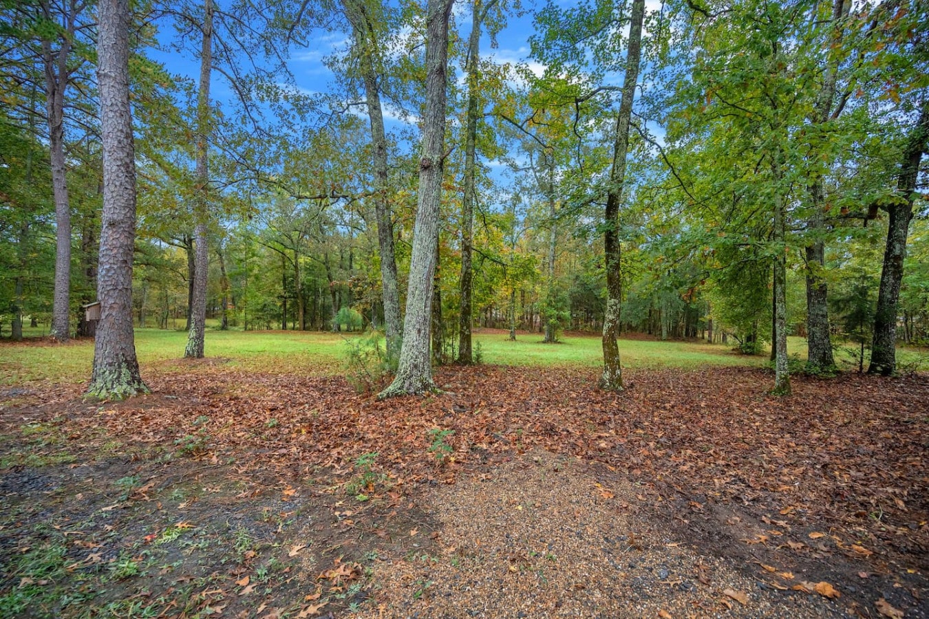Where the forest meets comfort and relaxation.