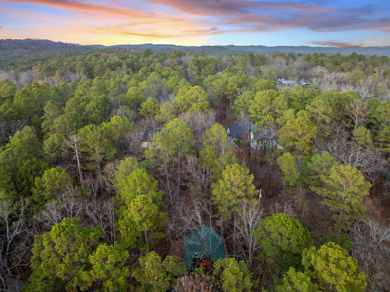 Stunning aerial perspective highlighting the home beautifully set within a canopy of mature, towering trees.