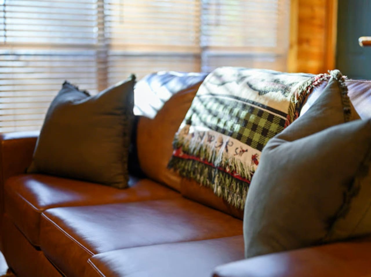 Cozy leather sofa with designer pillows and natural light streaming through the blinds.