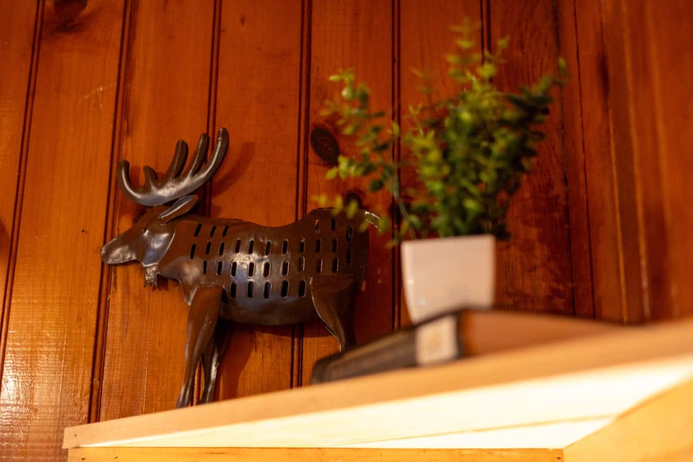 The moose stands proud. The plant softens the room. Perfect pair.