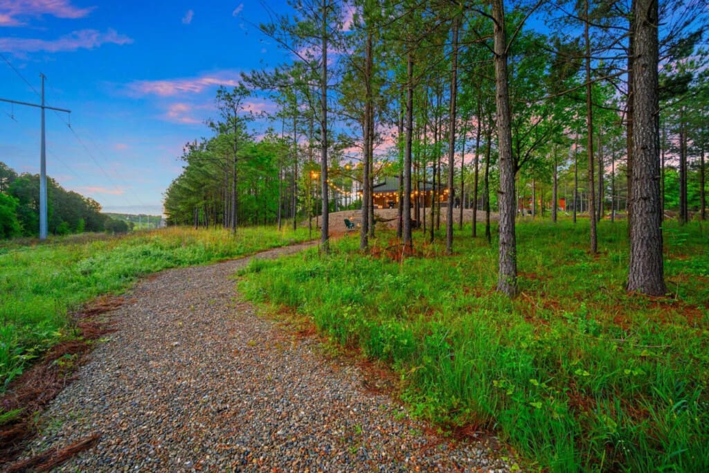 A peaceful gravel drive lined with towering pines leads you deeper into the forest toward that glowing cabin, making you feel like you're about to discover your own private woodland escape.