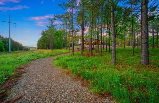 A peaceful gravel drive lined with towering pines leads you deeper into the forest toward that glowing cabin, making you feel like you're about to discover your own private woodland escape.
