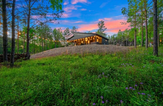 Watch this sleek modern cabin come alive as the sun sets behind the pines, casting that perfect golden glow across the gravel courtyard while the sky turns those dreamy shades of pink and blue.