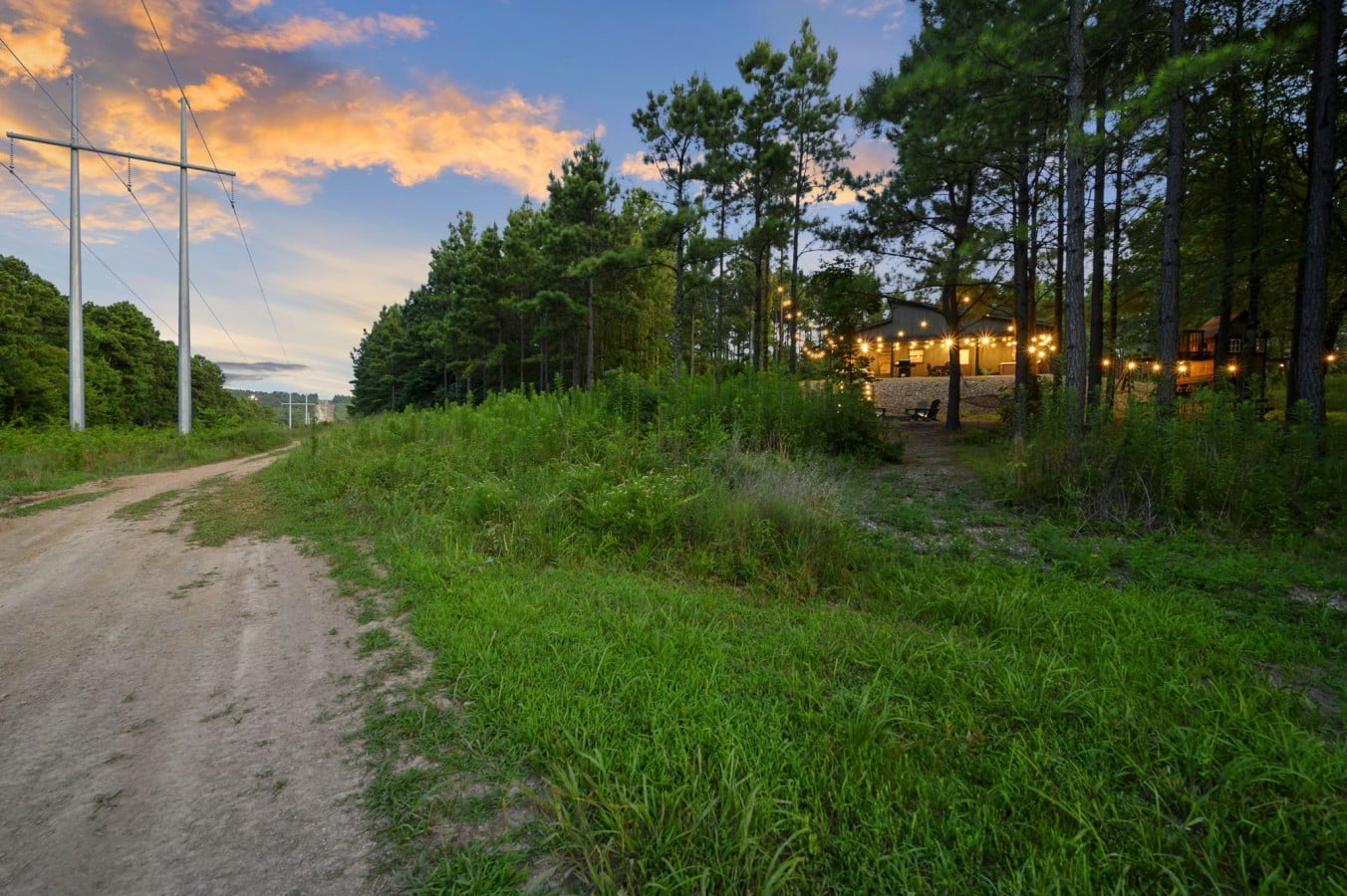 Tree-lined driveway approach showing the cabin's peaceful setting.