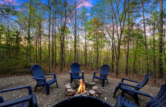 Find your peace at Treetop