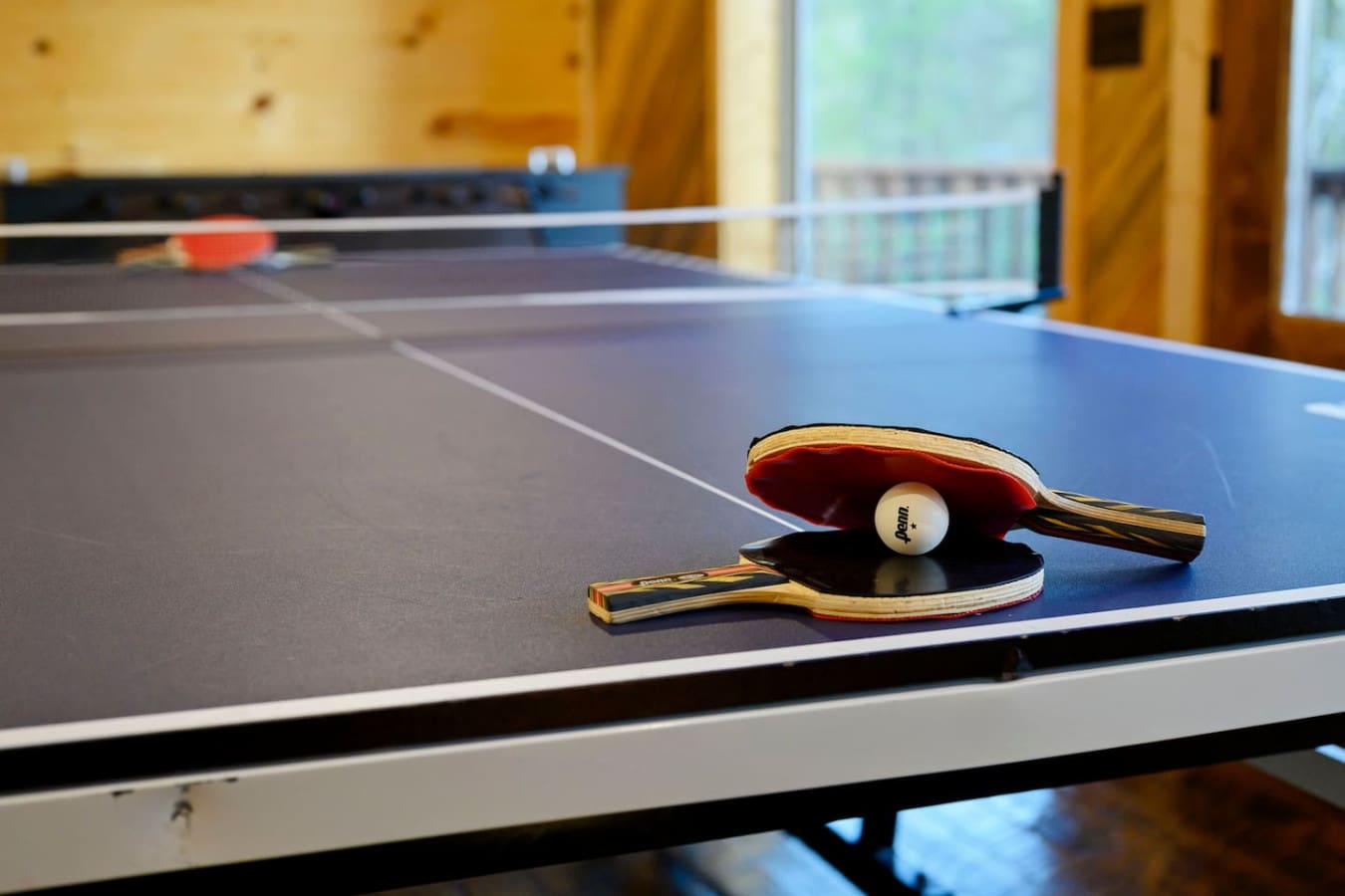 Game on at Treetop