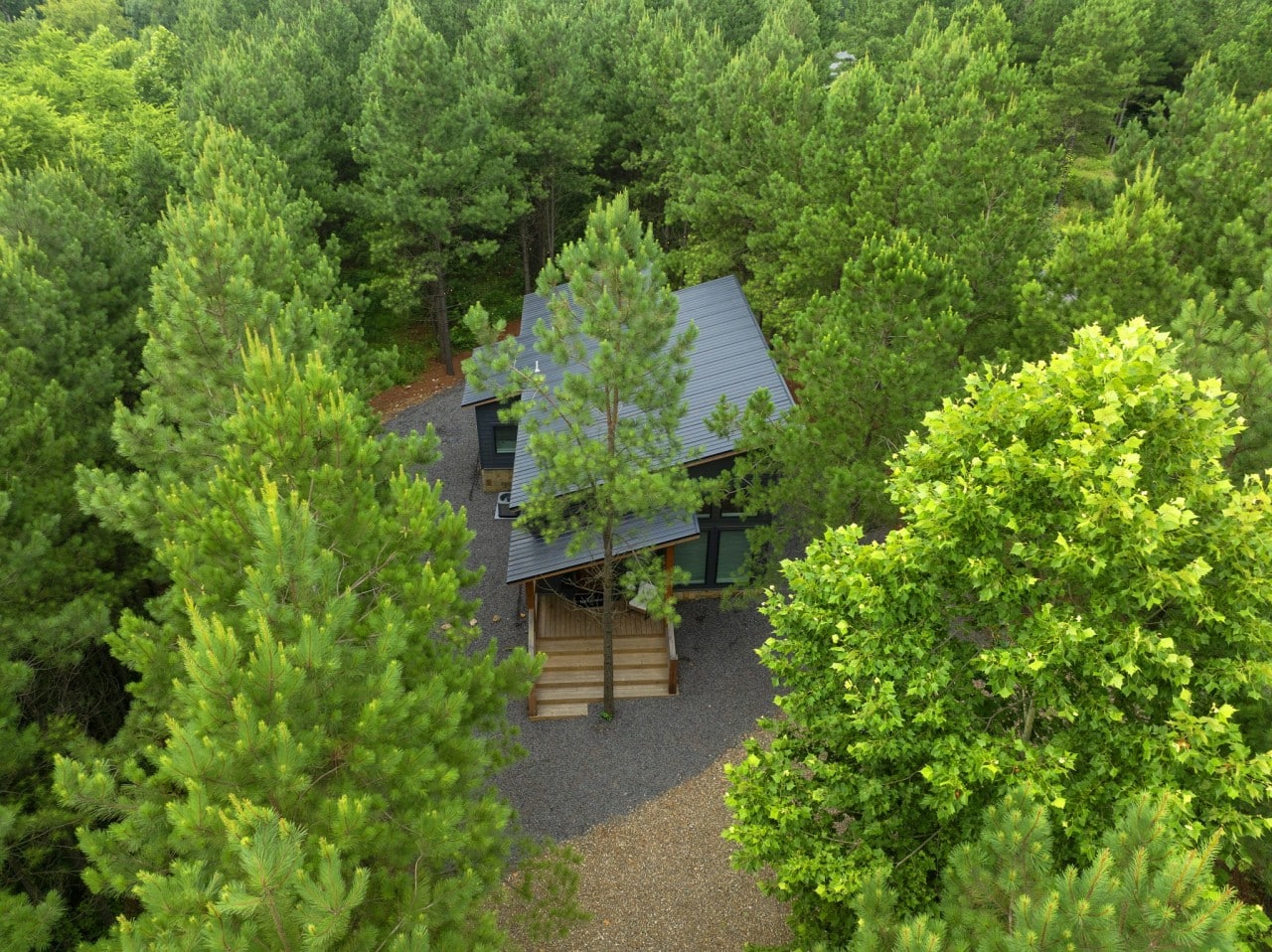 Completely hidden by a forest canopy — true off-grid seclusion awaits.